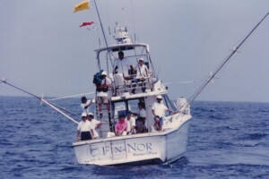 ファイト中の服部名人