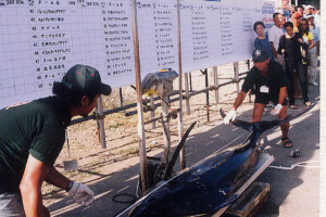 00.7月22回JIBT検量